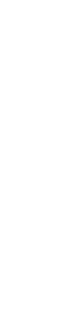 日本が世界に誇る今治タオル